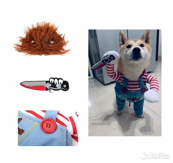 Костюм для собаки Новый