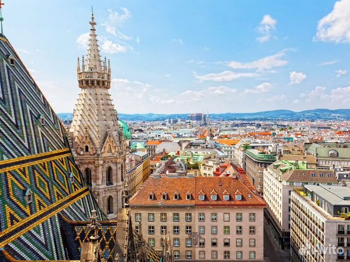 Экскурсия — Вена — Вена — Первое Знакомство