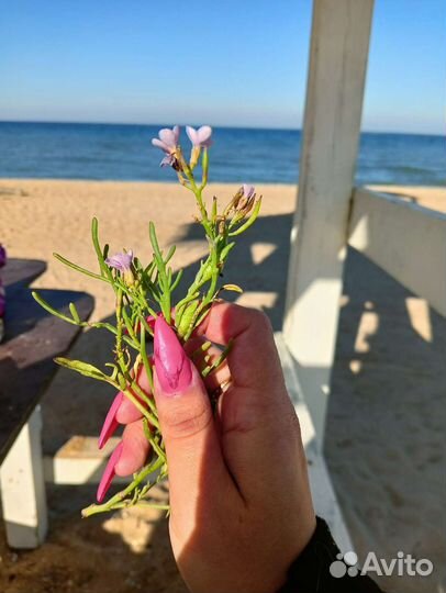 Ногтевой сервис