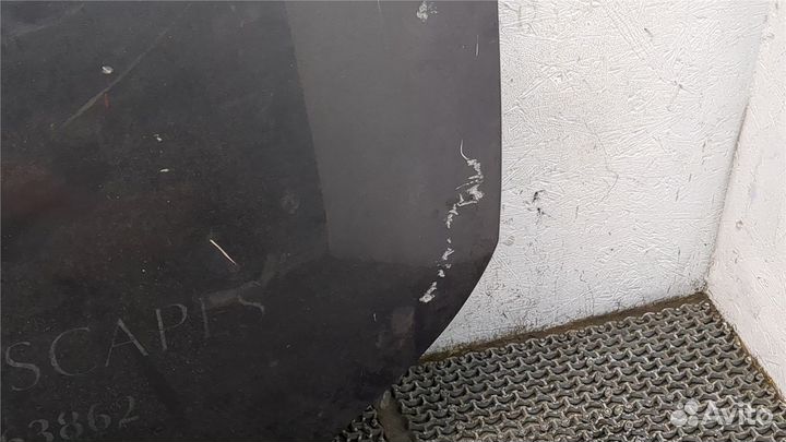 Капот LDV (DAF) Maxus, 2008