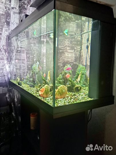 Аквариум