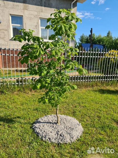 Мульча из целлюлозы