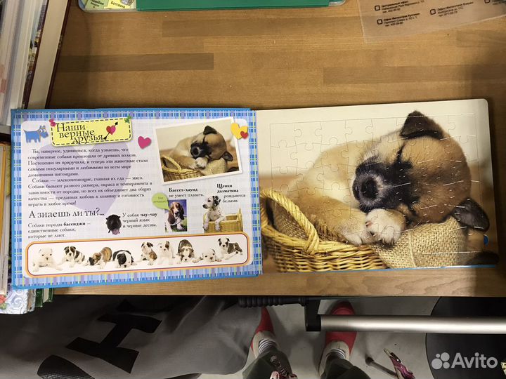 Книжка пазл Все о собачках