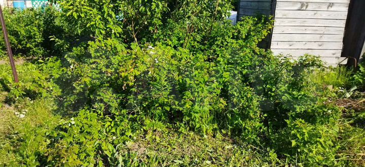 Участок 3,7 сот. (СНТ, ДНП)