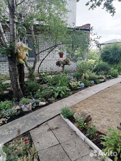 Растения для дачи