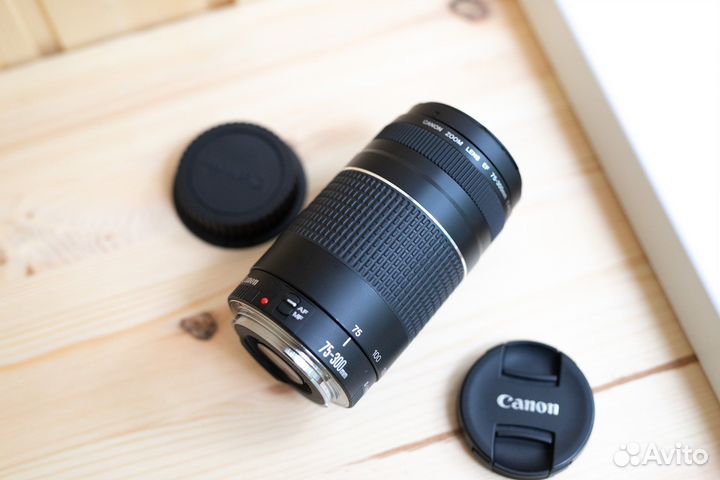 Canon EF 75-300mm f/4-5.6 III