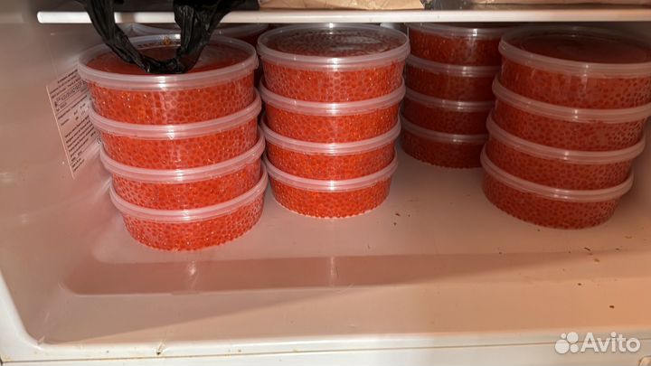 Красная икра 2024 кеты сахалин