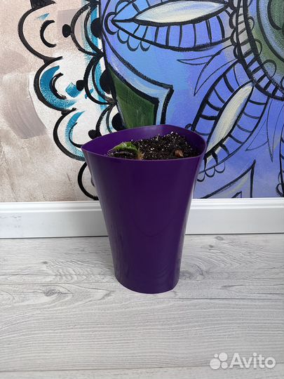 Горшок для цветов