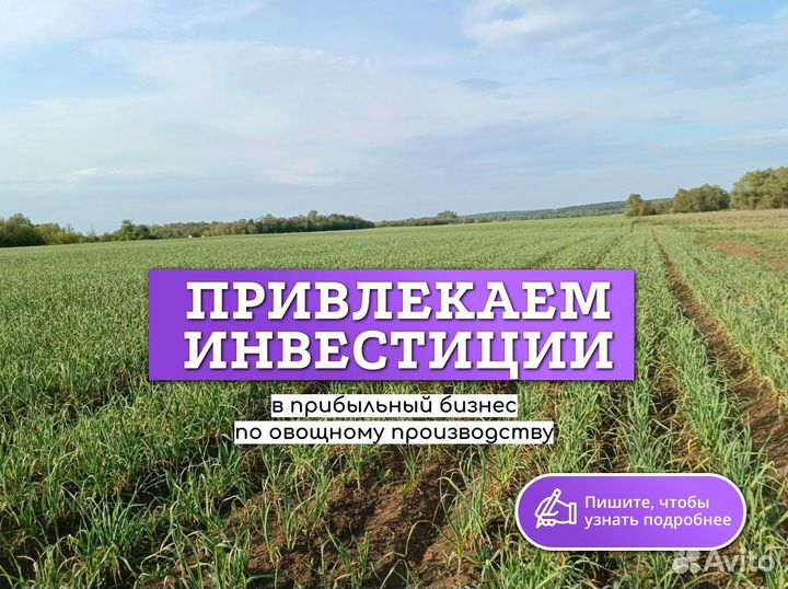 Инвестор в сельское хозяйство