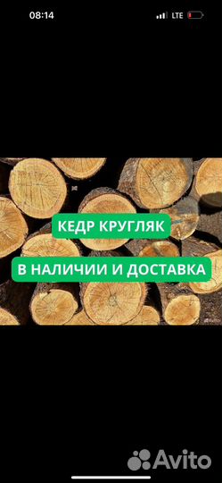 Кедр кругляк / Наличие / Доставка