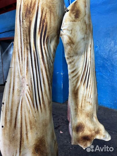 Мясо свинина полутуши