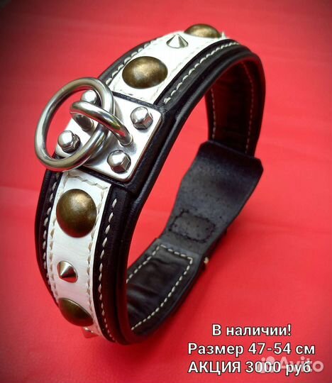 Ошейники для собак Legion Collars
