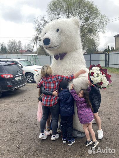 Поздравление Белого Мишки 2 метра 60 см