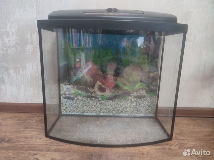 Аквариум