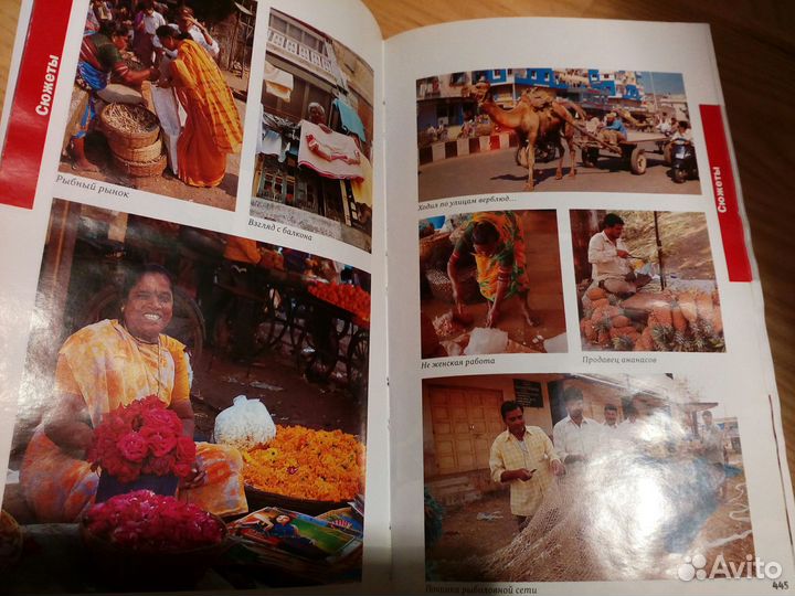 Путеводитель индия 900страниц