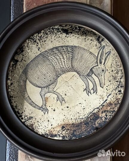 Оротон с броненосцем