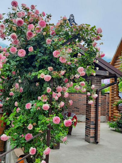 Дом 60 м² на участке 1 сот.