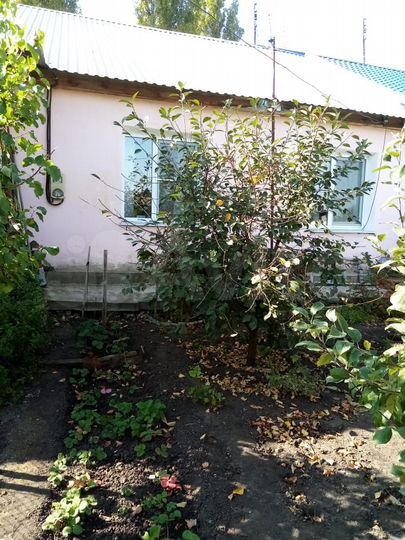 2-к. квартира, 50,6 м², 1/1 эт.