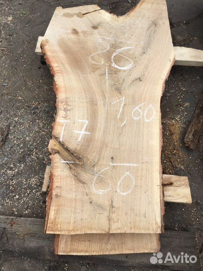 Спилы акации и дуба 1,10 диаметр