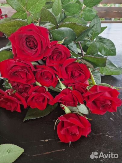 Цветы оптом розы