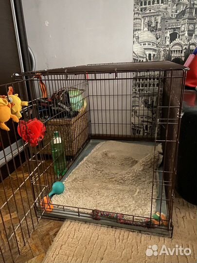 Клетка для собак №5 (1 дверь) 108x72x76 см