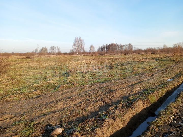 Участок 6 сот. (ИЖС)