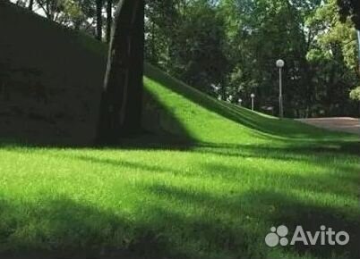 Укладка Рулонного газона