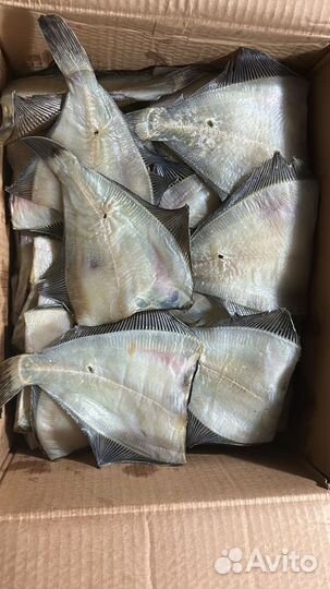 Рыба вяленая оптом