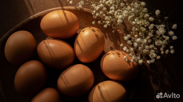 Комбикорм для Несушек