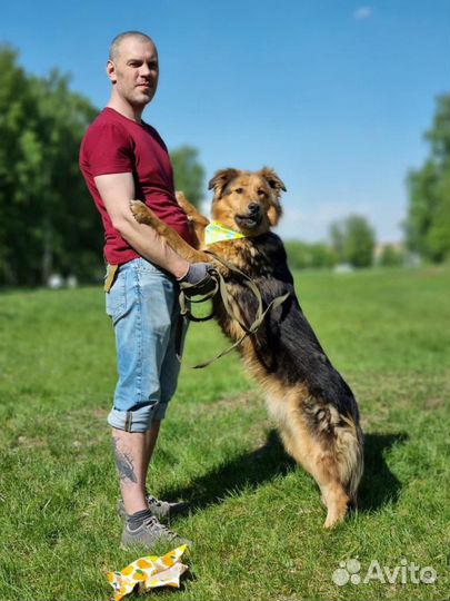 Отдам в добрые руки