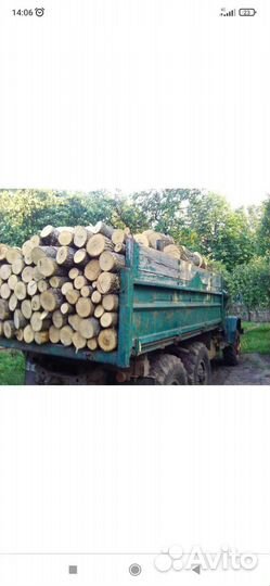 Дрова дубовые