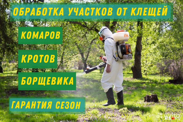 Обработка от насекомых тараканов клопов