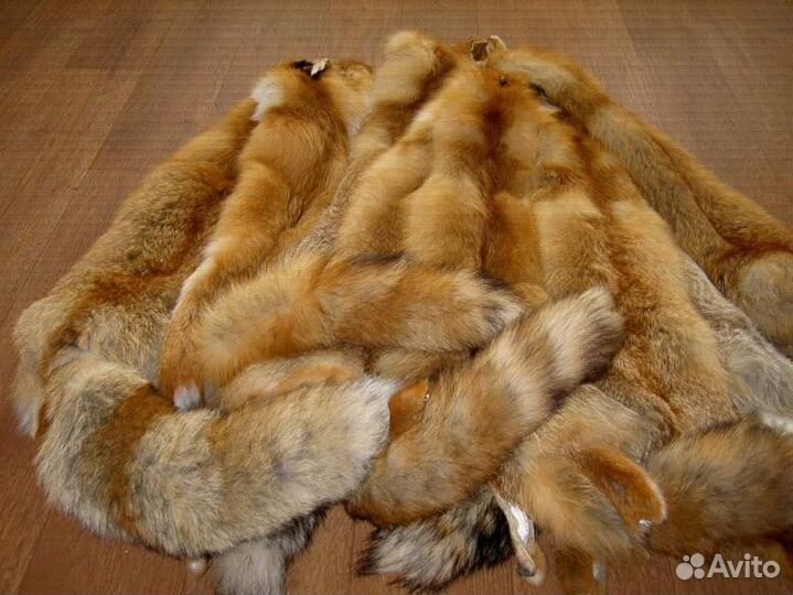Лисьи шкуры