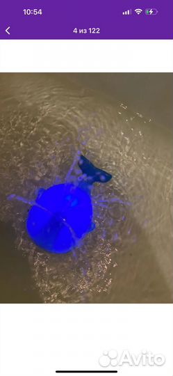 Игрушка новая кит