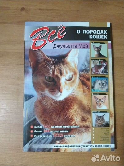 Все о породах кошек