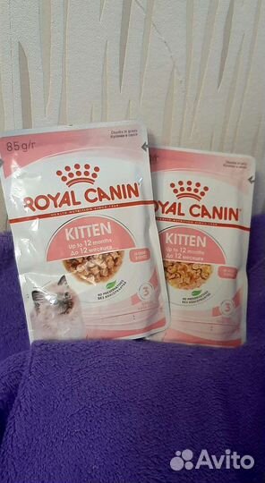 Влажный корм для котят Royal canin