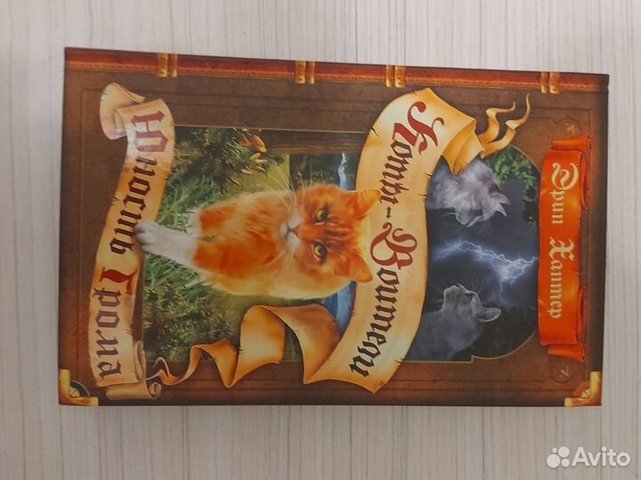 Коты воители