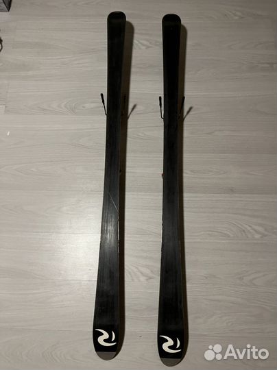 Горные лыжи