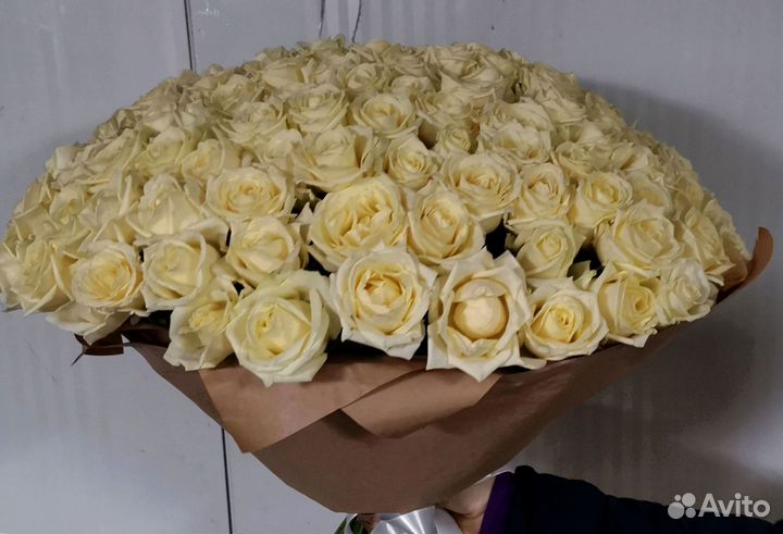 Розы, букет цветов, 101 роза, 51 роза. Розы опт