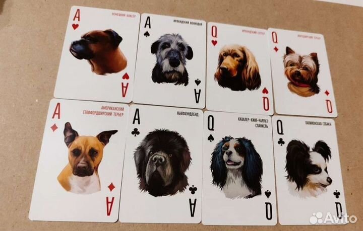 Карты джокер,5,король,6,8,9,дама,валет