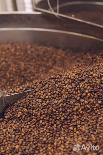 Кофе свежеобжаренный зерно/молотый опт