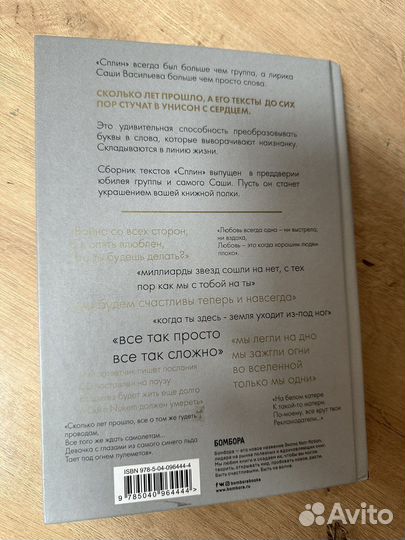 Сплин. Весь этот бред: стихи Александр Васильев