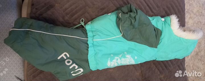 Одежда для животных