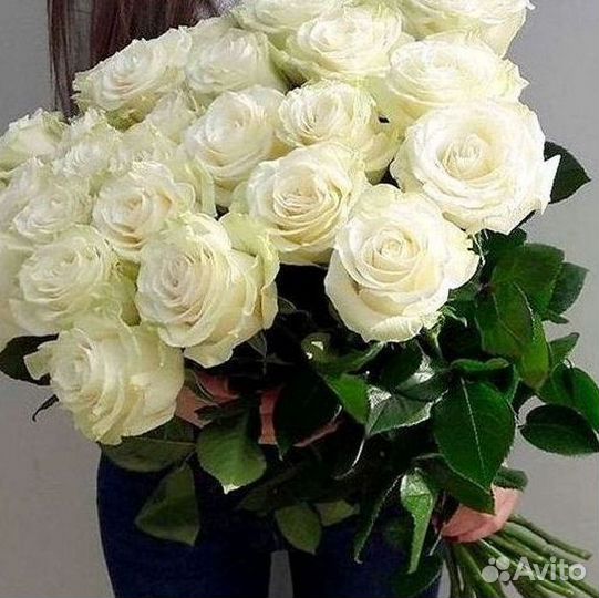 Высокие розы Гигантские розы Доставка цветов