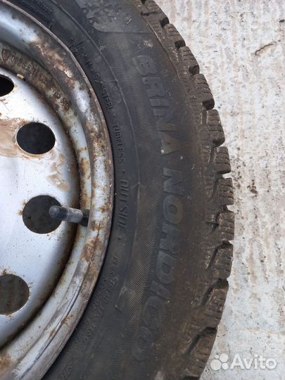 Viatti Brina Nordico V-522 175/65 R14