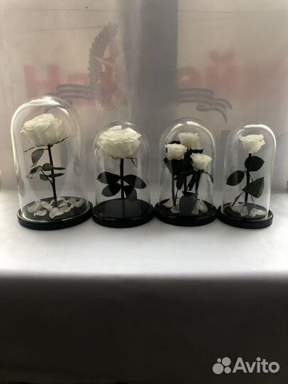 Розы в колбе