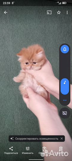 Персидская