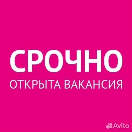 Консьерж (Без опыта)