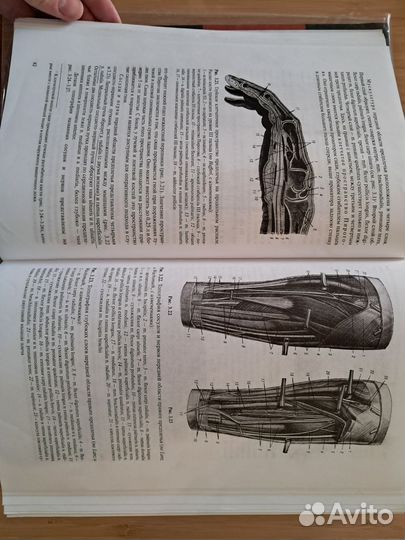 Г.Е. Островерхов Оперативная хирургия учебник