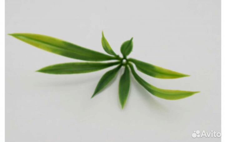 Мыльная основа для мыловарения